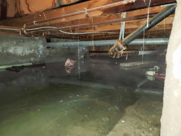 Best Emergency water damage restoration  in Gaithersburg, MD