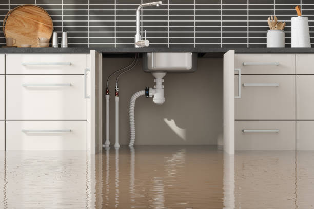 Best Water damage contractors near me  in Gaithersburg, MD